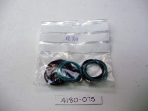 BLAIN EV100 3/4 SEAL KIT"