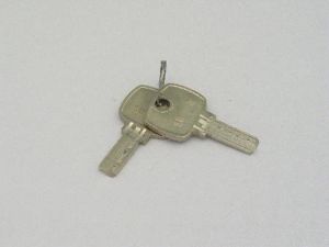 DOM KEYS (SET OF 2) SH8